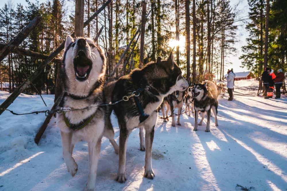 best time to visit lapland